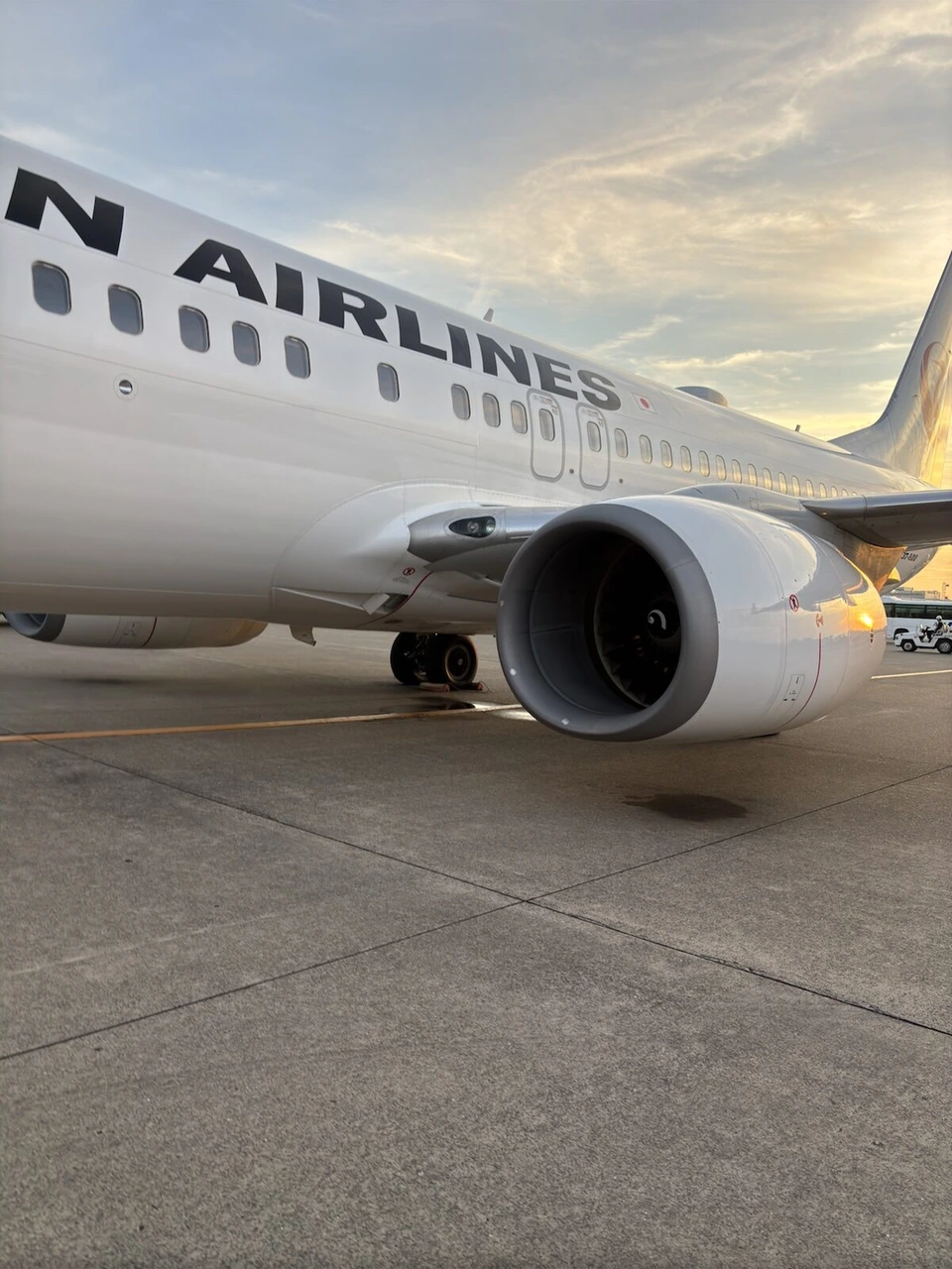 夕方の駐機場に止まるJALのボーイング737のエンジンと胴体