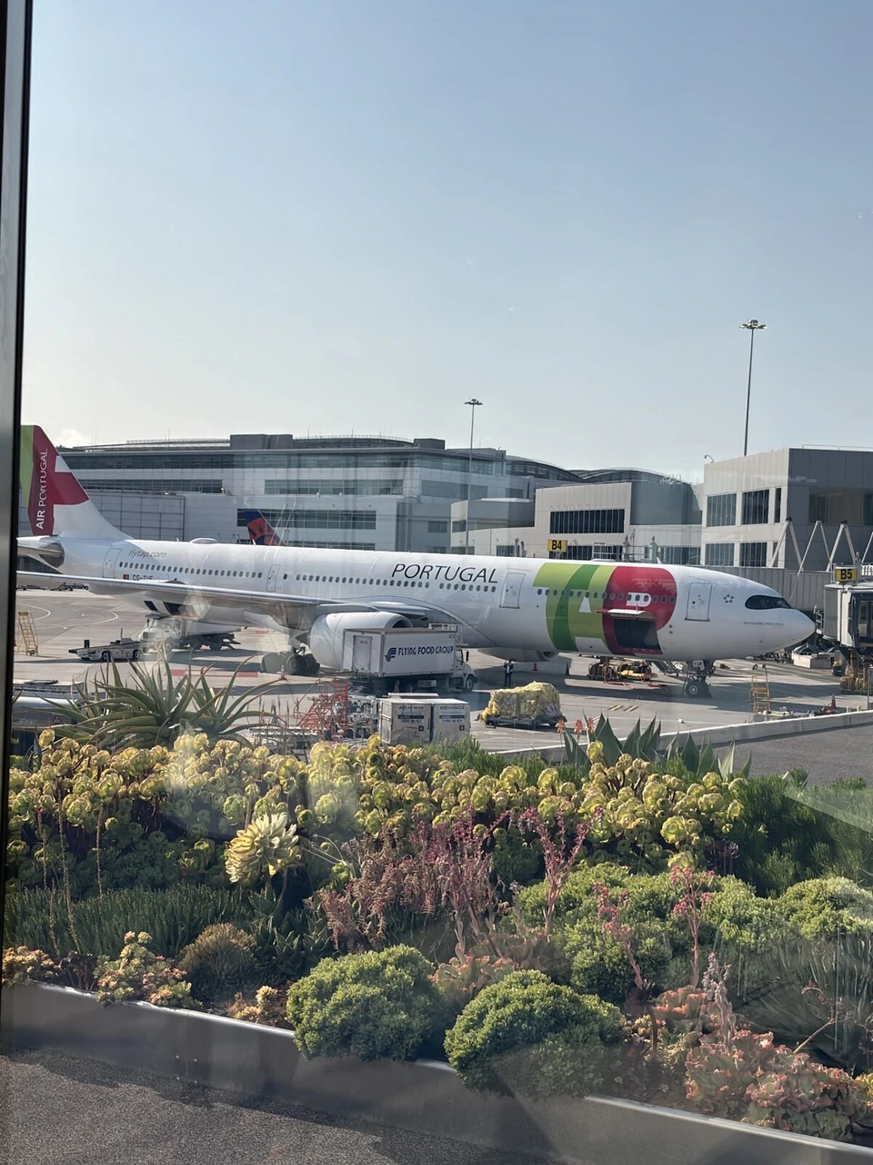 サンフランシスコ空港の植え込み越しに見たTAPポルトガル航空の機体