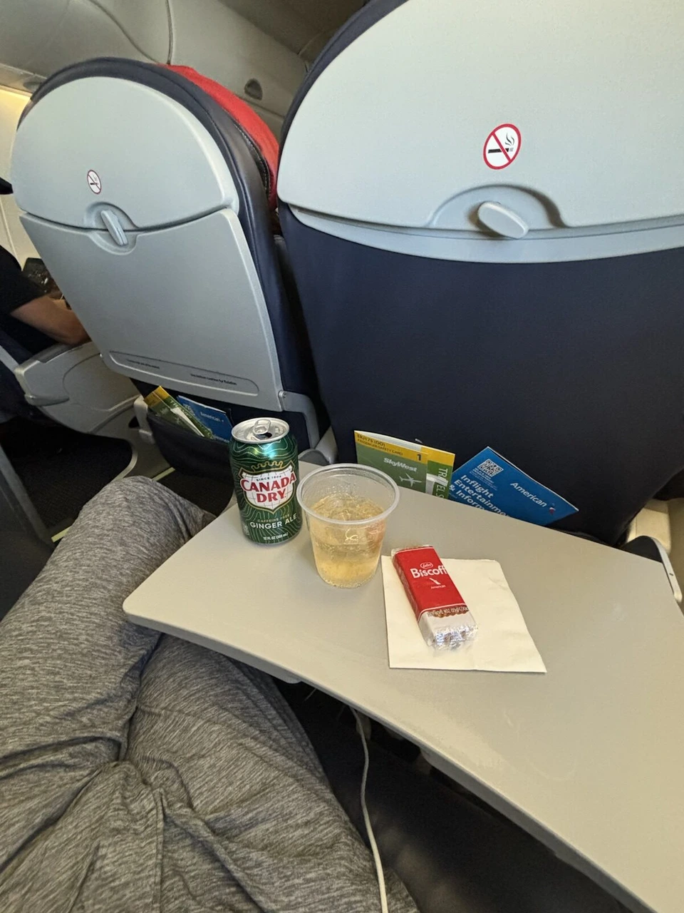 アメリカン航空AA4925(E175・スカイウエスト運航)の機内。テーブルにジンジャーエールの缶とカップ