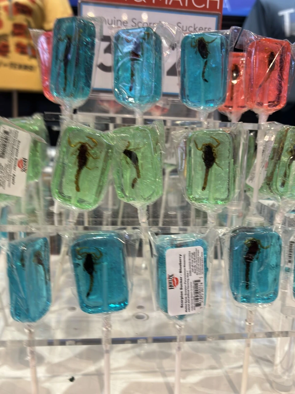 ダラス空港の売店に並ぶサソリ入りのキャンディ