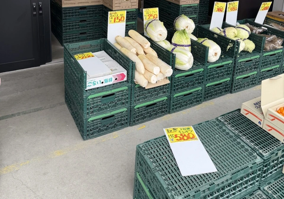 道の駅の売り場に並ぶ大根と白菜。雪の下大根1本150円、はくさい250円、和寒越冬キャベツ580円の値札