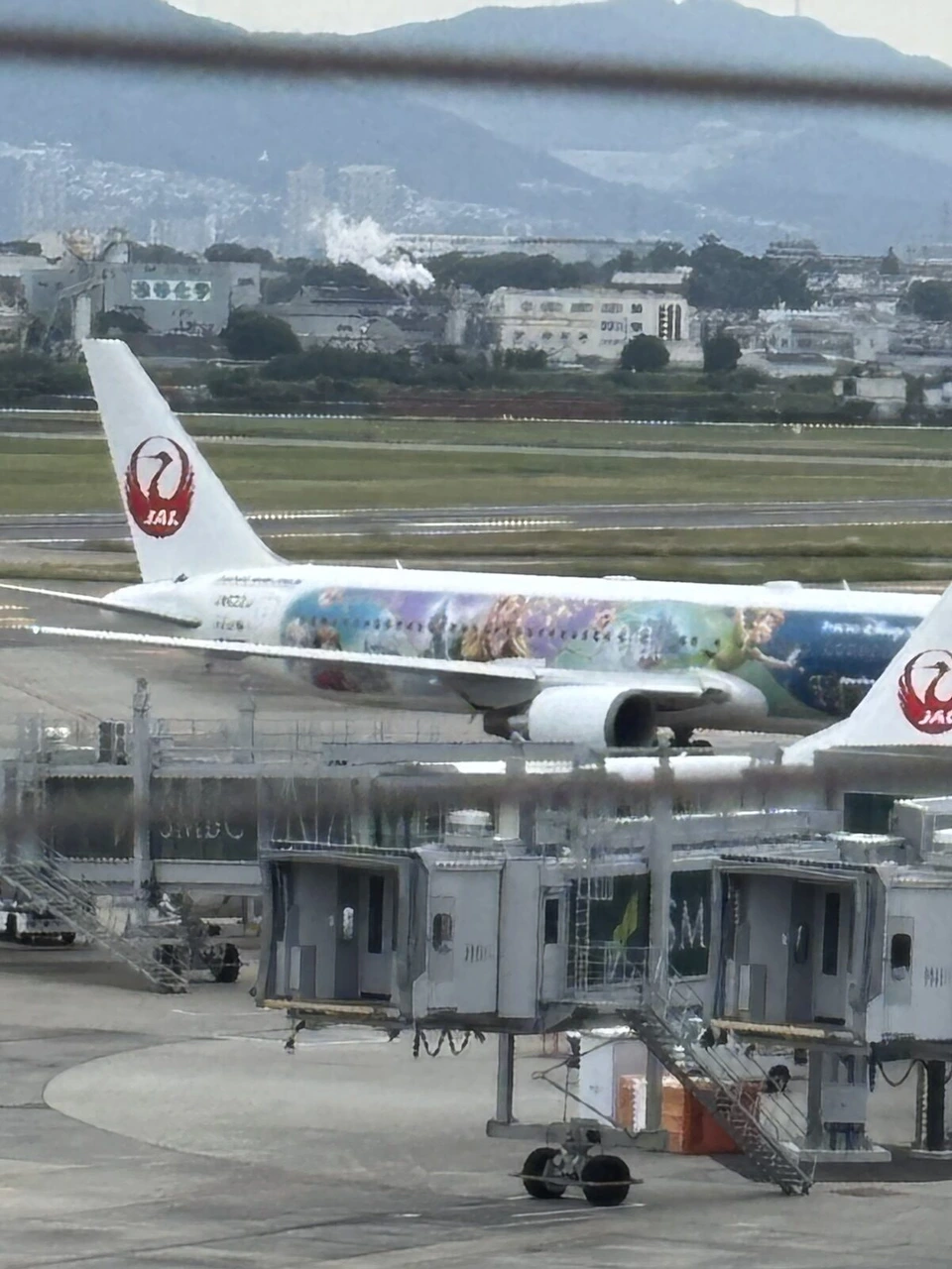 ボーディングブリッジ越しに見たディズニーシー塗装の767の側面