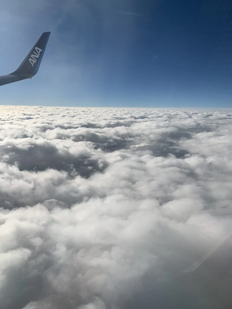 羽田→那覇NH1097の機窓から見た一面の雲海とANAの主翼