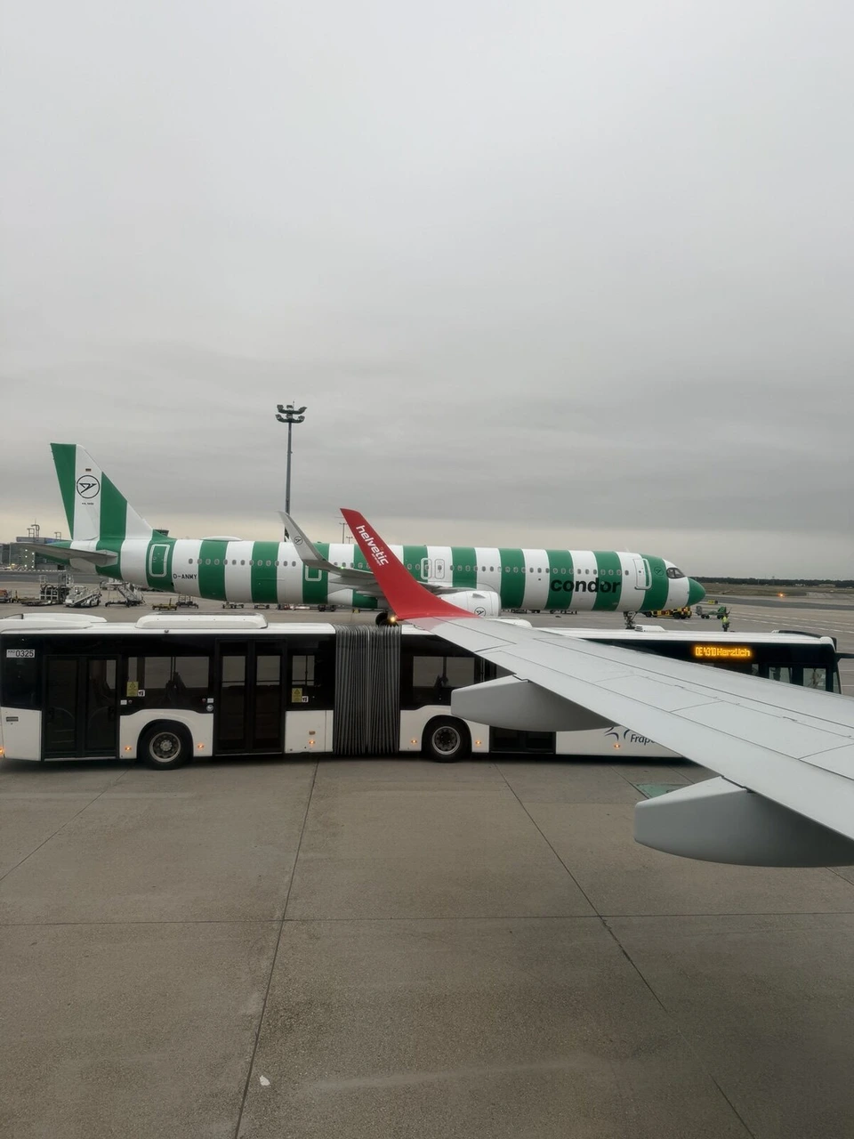フランクフルト空港の駐機場。緑と白のしま模様のコンドル機と連節バス