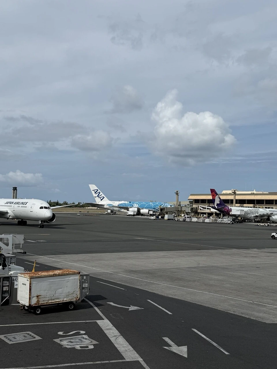 朝のホノルル空港の駐機場。JALの787、青いウミガメ塗装のANAのA380、ハワイアン航空のA330