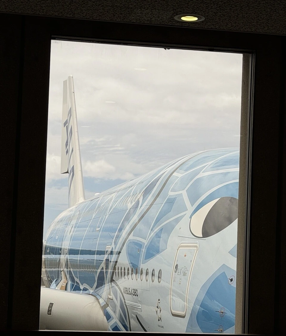 ホノルル空港の搭乗待合の窓越しに見たANAのA380 FLYING HONUの機首