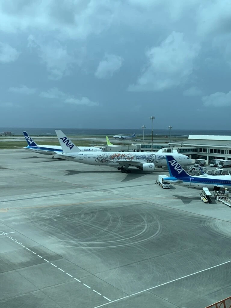 那覇空港のJALラウンジの窓から見た駐機場。ANAの機体が並び、空は曇り