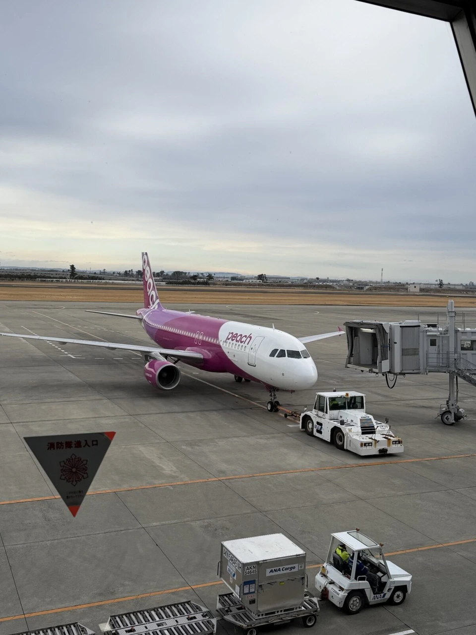 曇り空の仙台空港の駐機場に止まるピーチの紫と白のエアバス機と、手荷物を運ぶ車