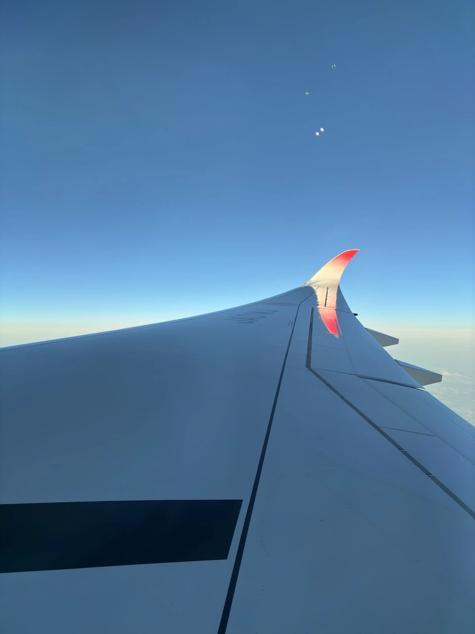 明け方の空と、先端が赤いJAL A350-1000の主翼