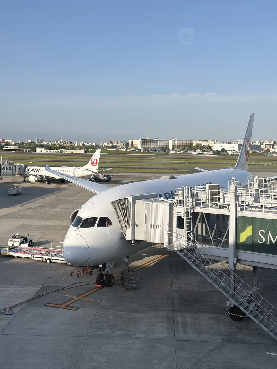 朝の伊丹空港で搭乗橋につながったJALの787