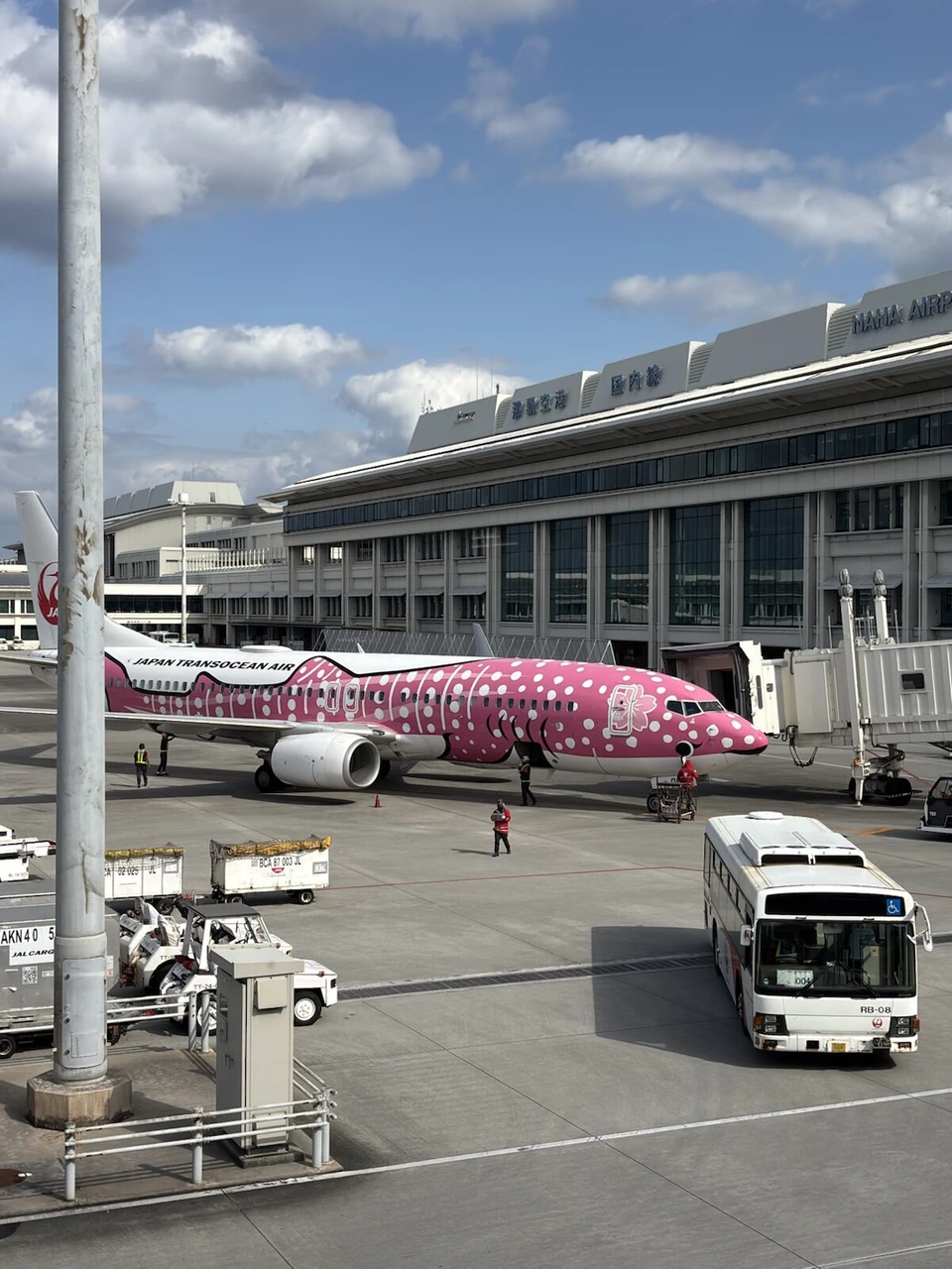 那覇空港の駐機場に並ぶピンク色のジンベエザメ柄の機体とランプバス