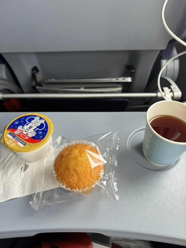 MH053の到着前の軽食。ミニーマウス柄のバニラアイスとマフィン、紅茶
