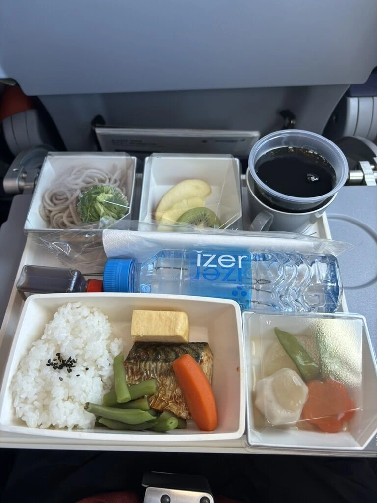 MH053エコノミーの機内食。ご飯、焼き魚、卵焼き、いんげん、にんじん、煮物、そば、フルーツ