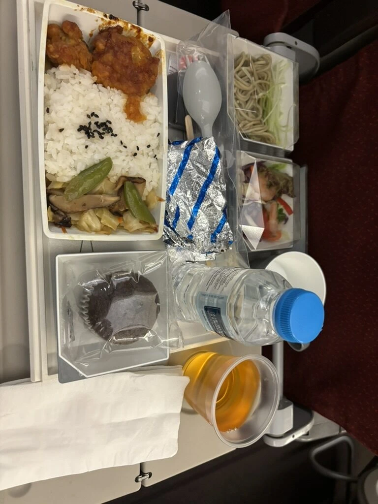 MH052の機内食。ご飯と鶏肉のソース煮、野菜炒め、そば、チョコマフィン、ジュース