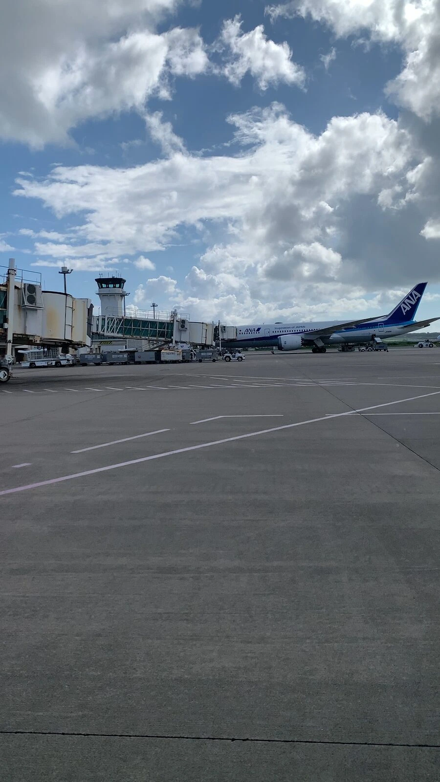 石垣空港の広い駐機場。奥に管制塔と搭乗橋、ANAの大型機