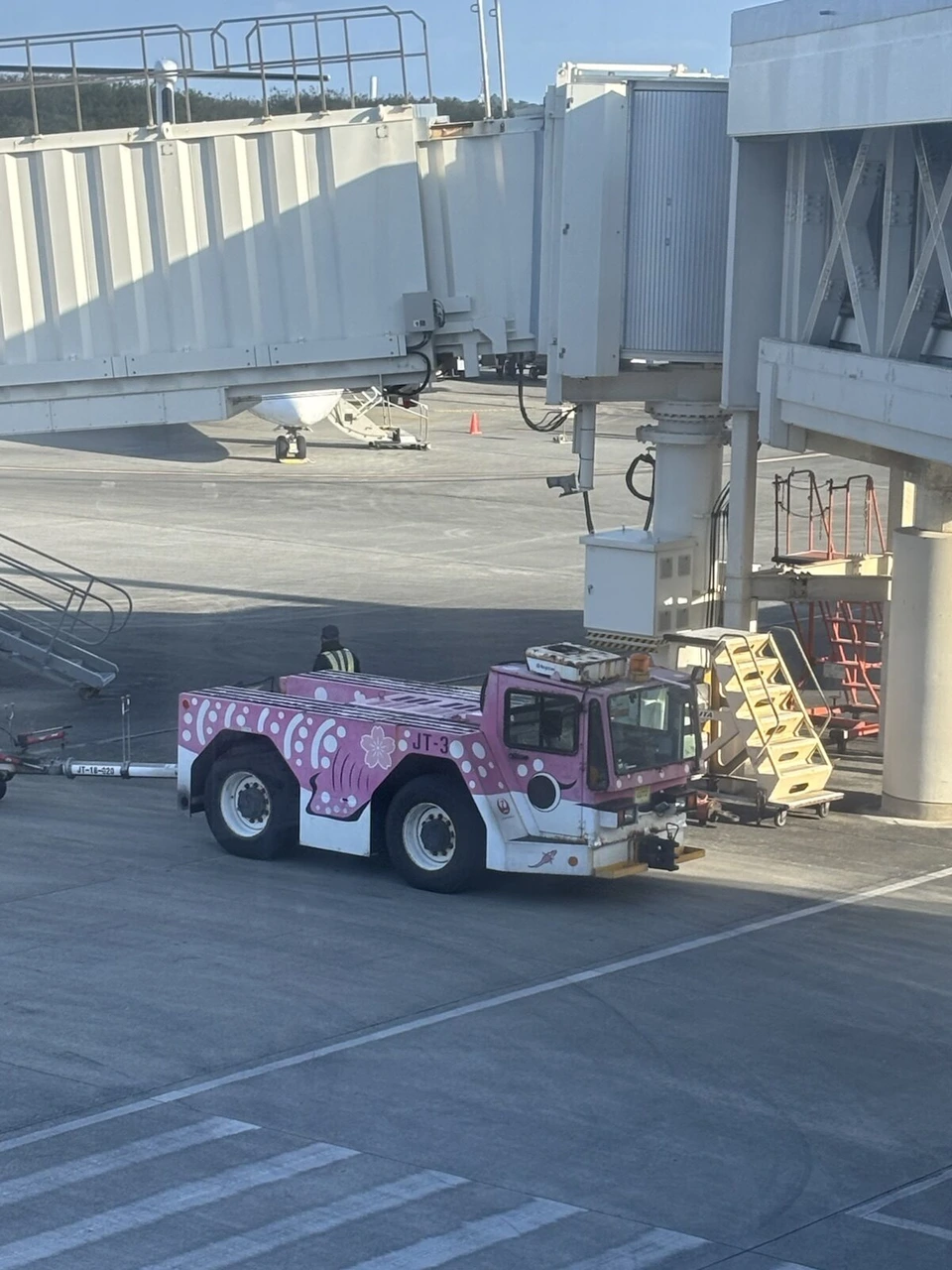 宮古空港のボーディングブリッジの下に止まる、ピンク色のジンベエザメ柄のトーイングカー