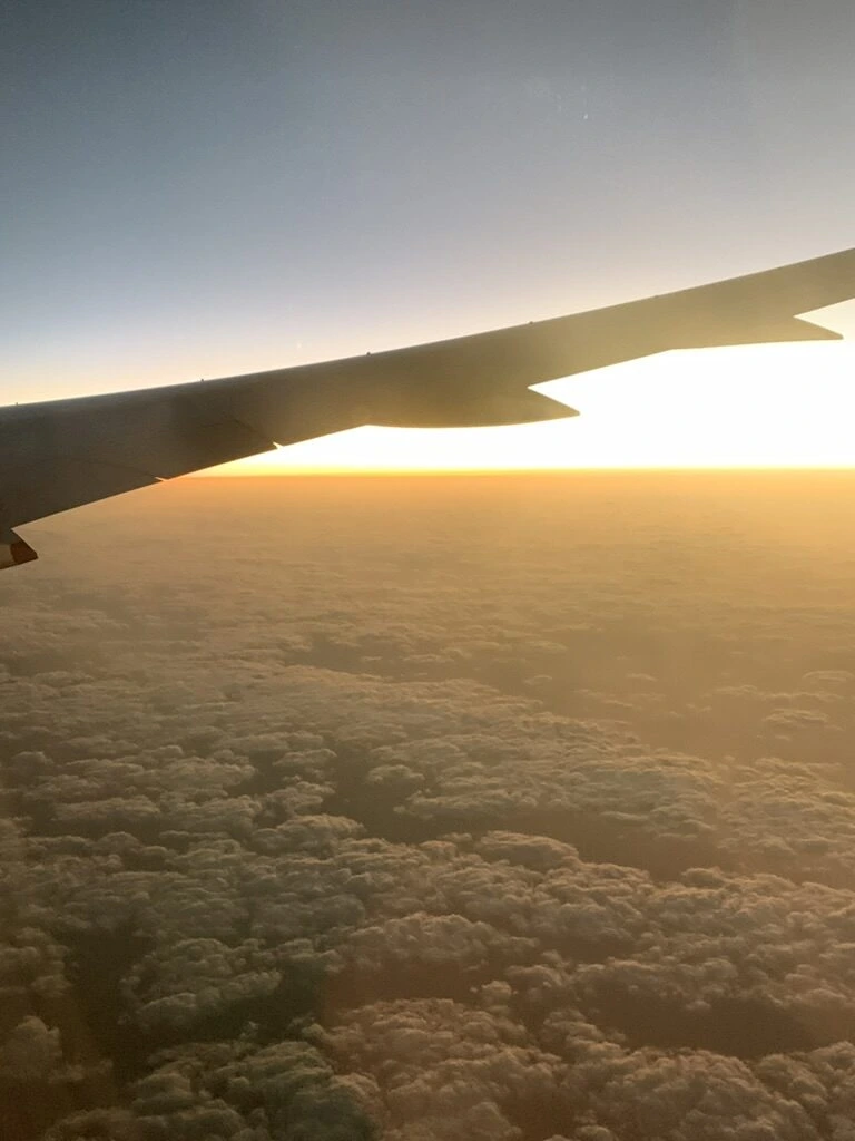 SQ618の窓から見た雲海の上の日の出と787-10の主翼
