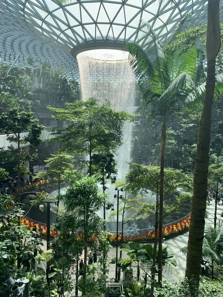 ジュエルの滝と、周りを囲む段々の植栽