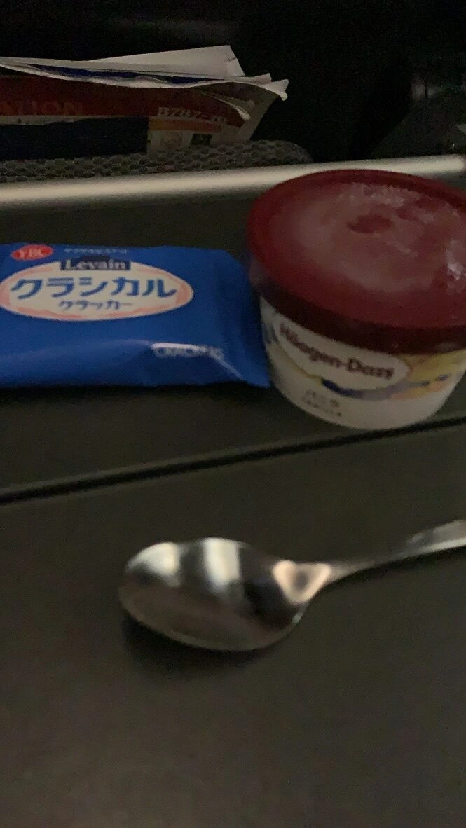 SQ623のデザートのハーゲンダッツのカップアイスとルヴァンのクラッカー