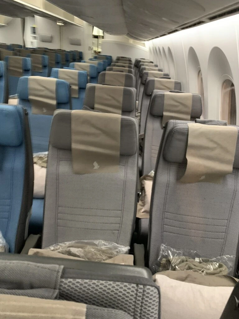 SQ623のエコノミー客室。グレーと青の座席が3列ずつ並ぶ
