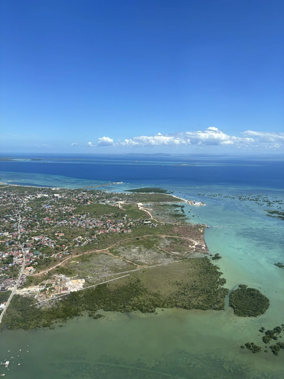 マクタン島の海岸とマングローブ、遠浅の海
