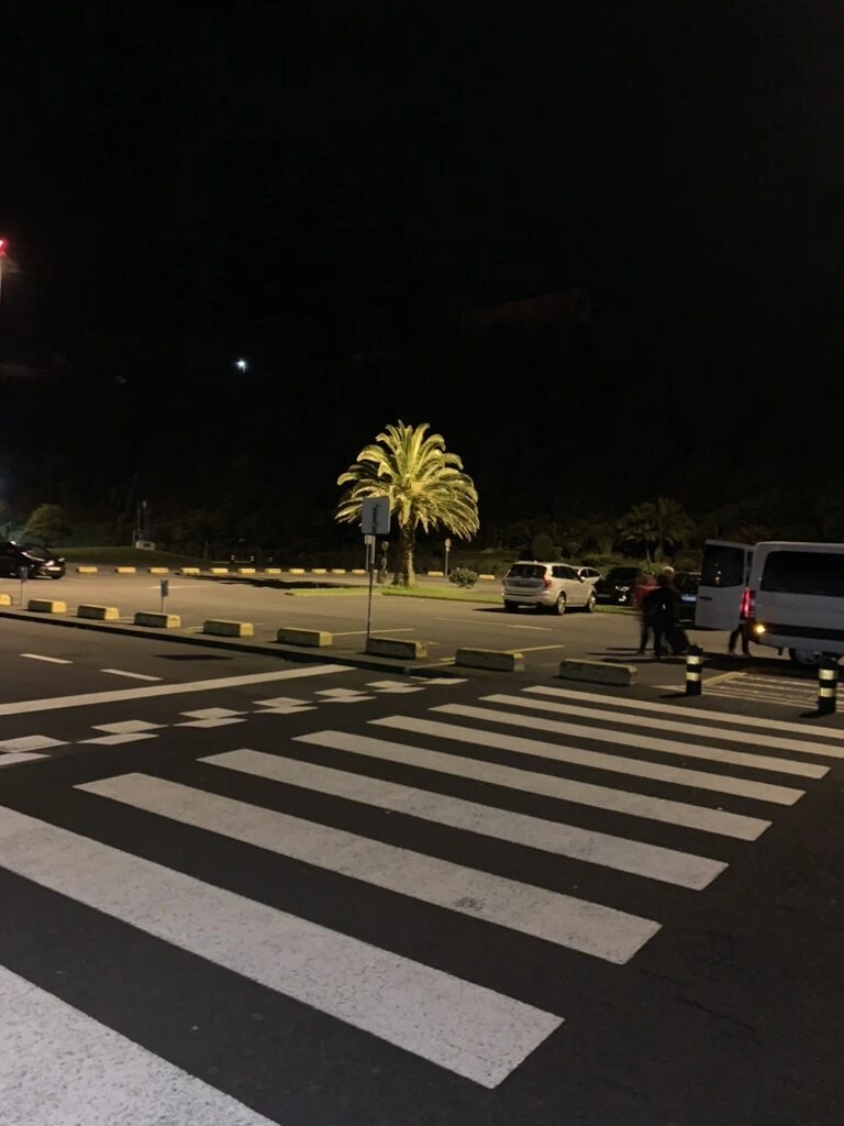 夜明け前のポンタデルガダ空港前の横断歩道とヤシの木