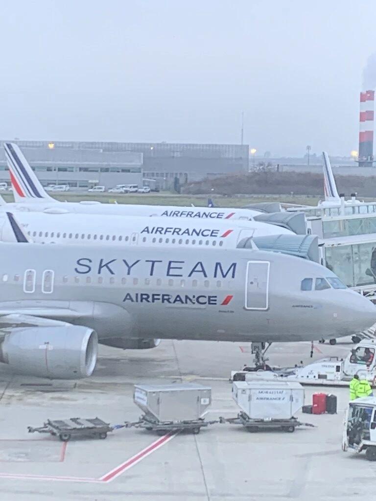 スカイチーム塗装のエールフランス機と、奥に並ぶエールフランス機