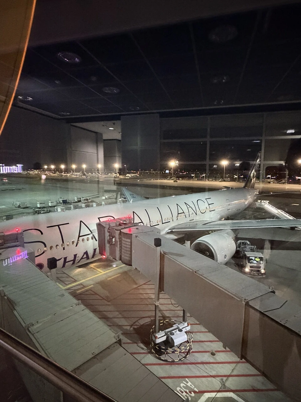 夜のフランクフルト空港に駐機するスターアライアンス塗装のタイ国際航空機と搭乗橋
