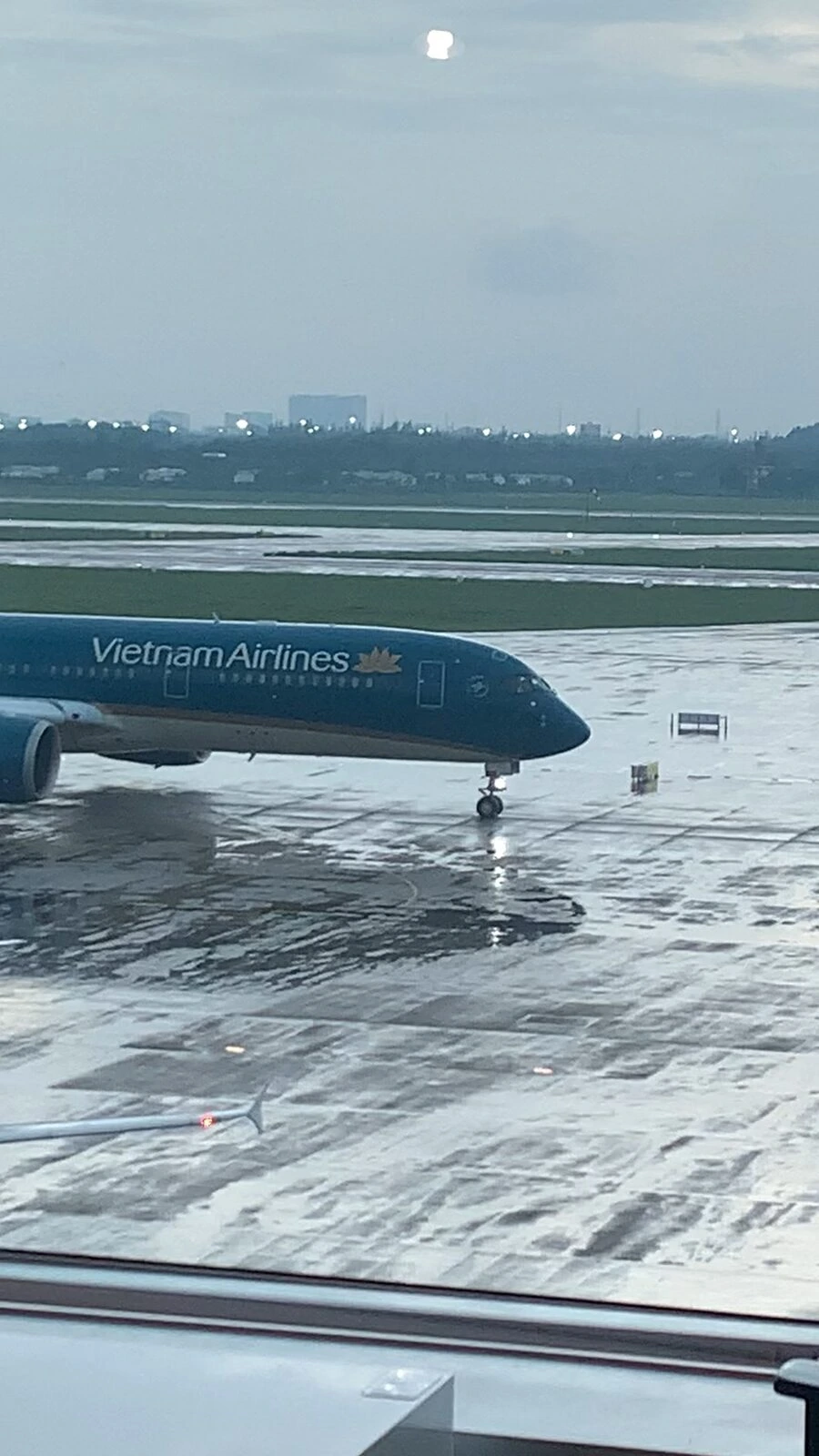 濡れた誘導路を走るベトナム航空の787