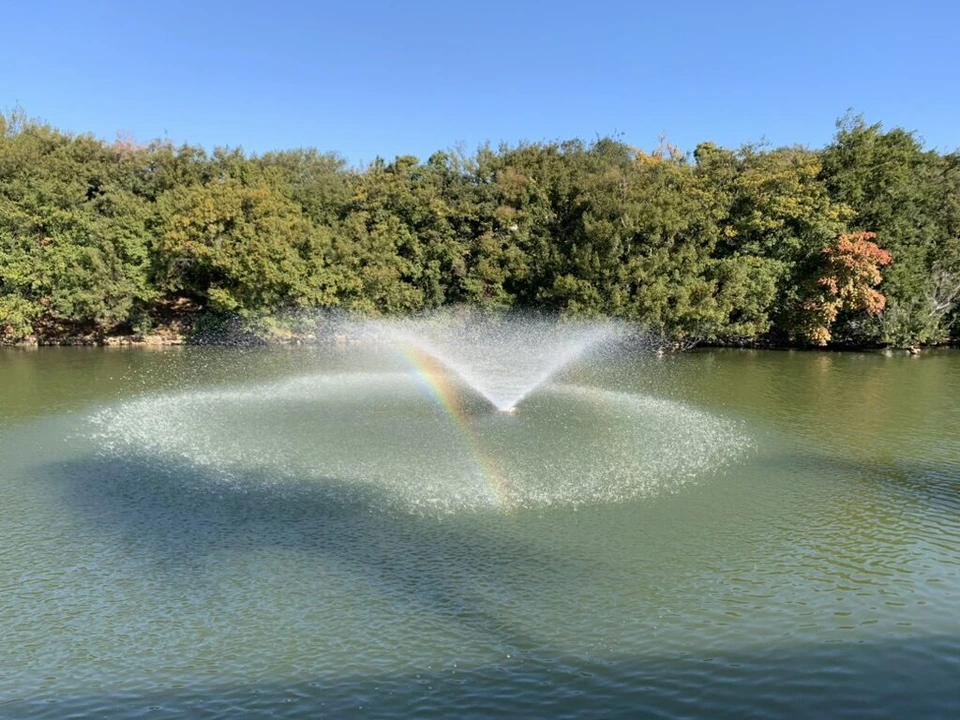 晴れた朝、木々に囲まれた池の噴水と小さな虹