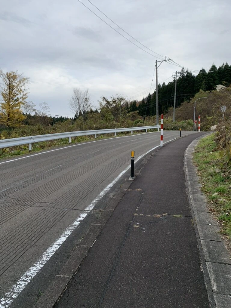カーブした県道と歩道、紅葉した木