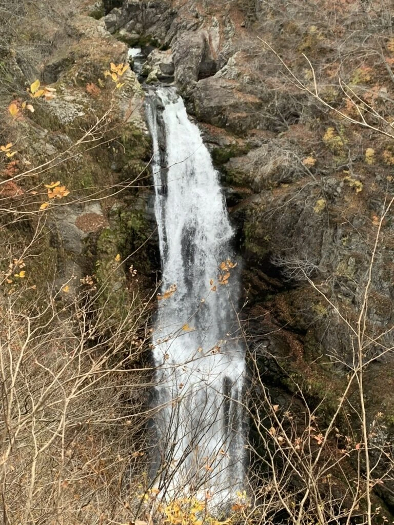 滝見台から見た、岩の間を白く流れ落ちる秋保大滝