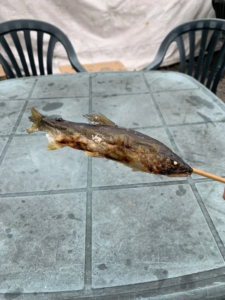 石のテーブルの上に置いた鮎の塩焼き