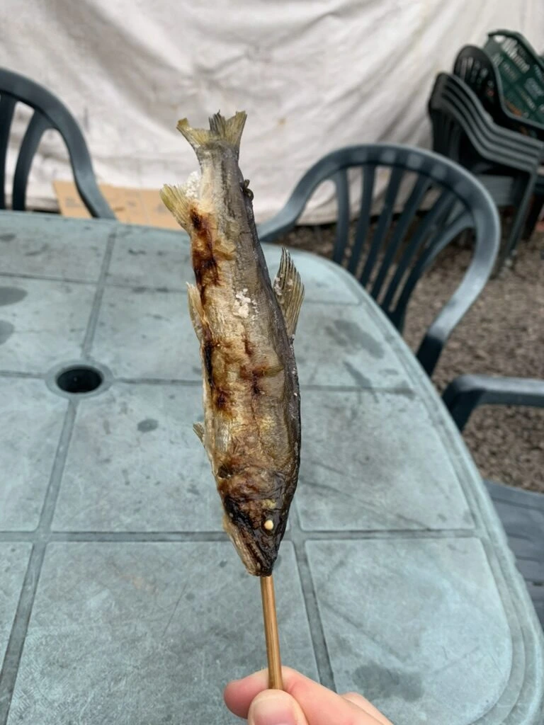 秋保大滝の入口で買った、串に刺した鮎の塩焼き