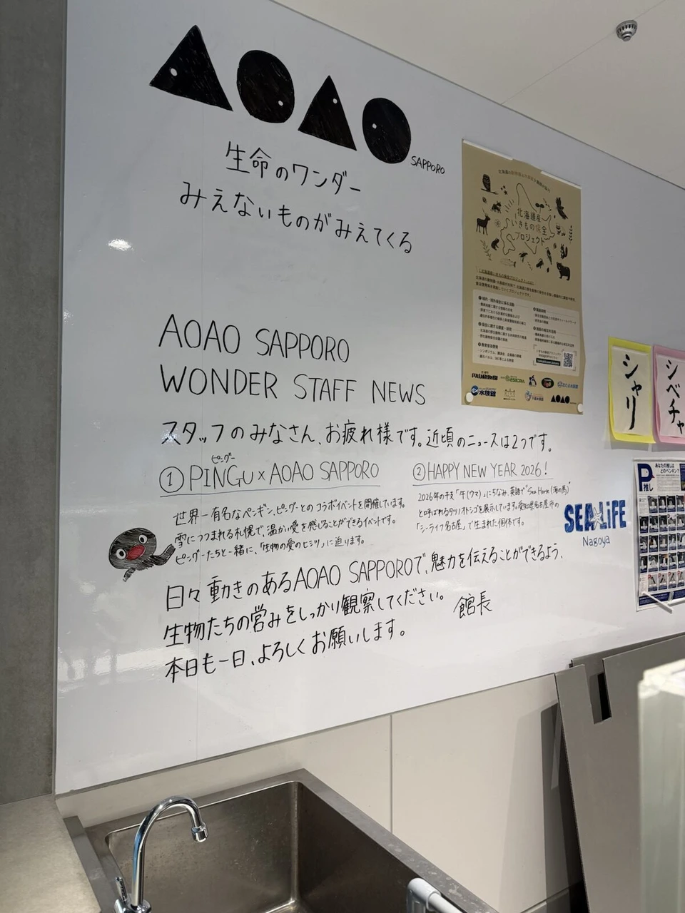 ホワイトボードに手書きされたAOAO SAPPORO WONDER STAFF NEWS