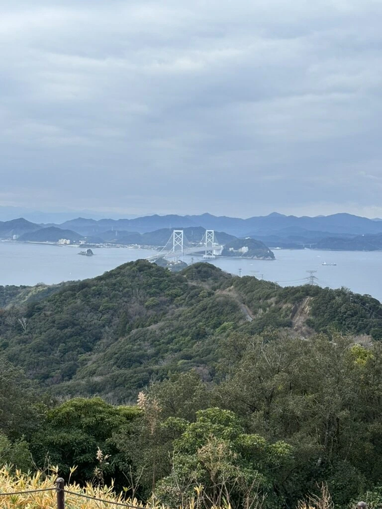 冬の曇り空の下、うずの丘から山の向こうに見える大鳴門橋