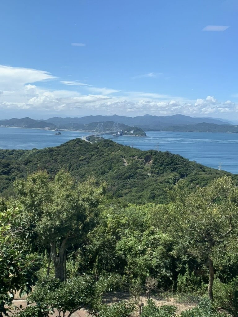 うずの丘から見た緑の山並みの奥の大鳴門橋と海