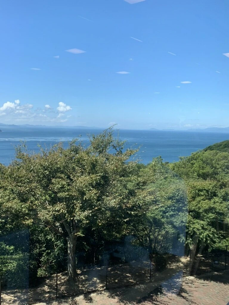 うずの丘から見た、木々の向こうに広がる夏の青い海と空