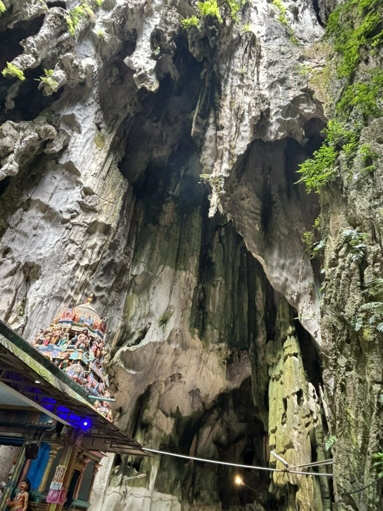 バトゥ洞窟の植物が垂れ下がる高い岩壁