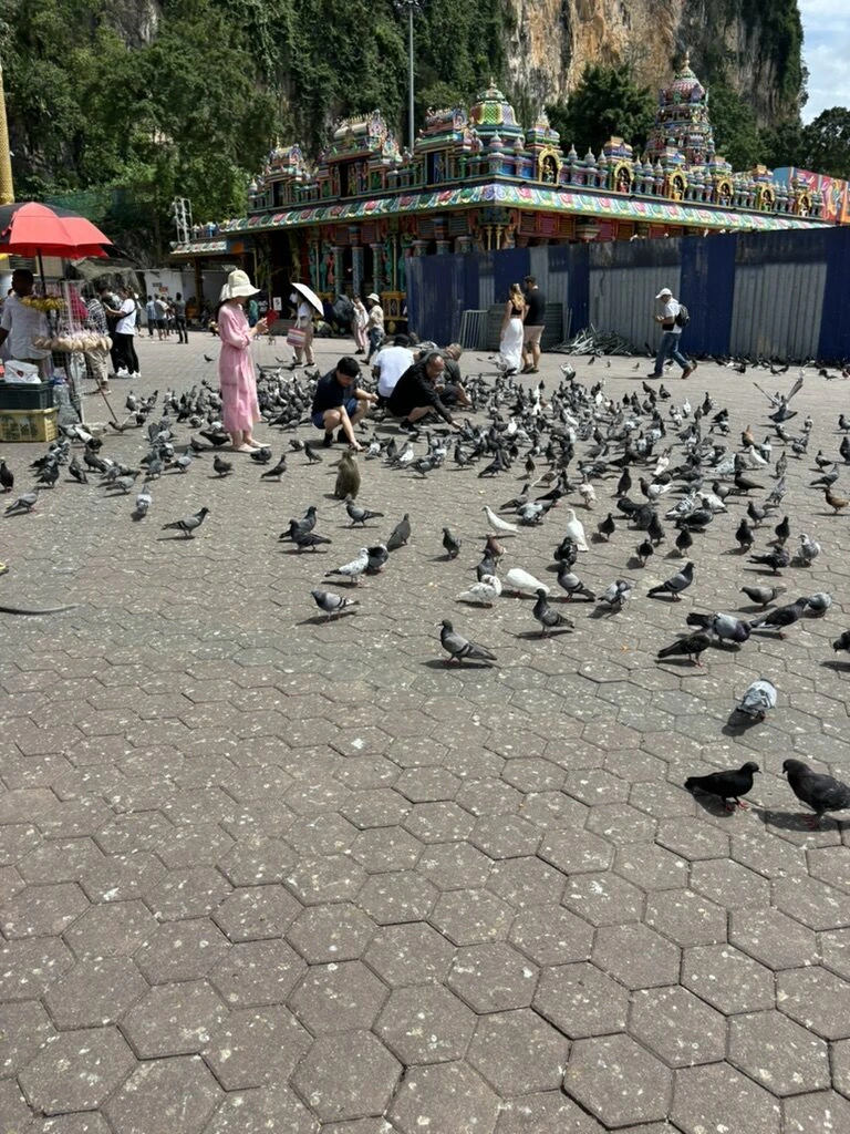 バトゥ洞窟前の広場に集まるたくさんのハト