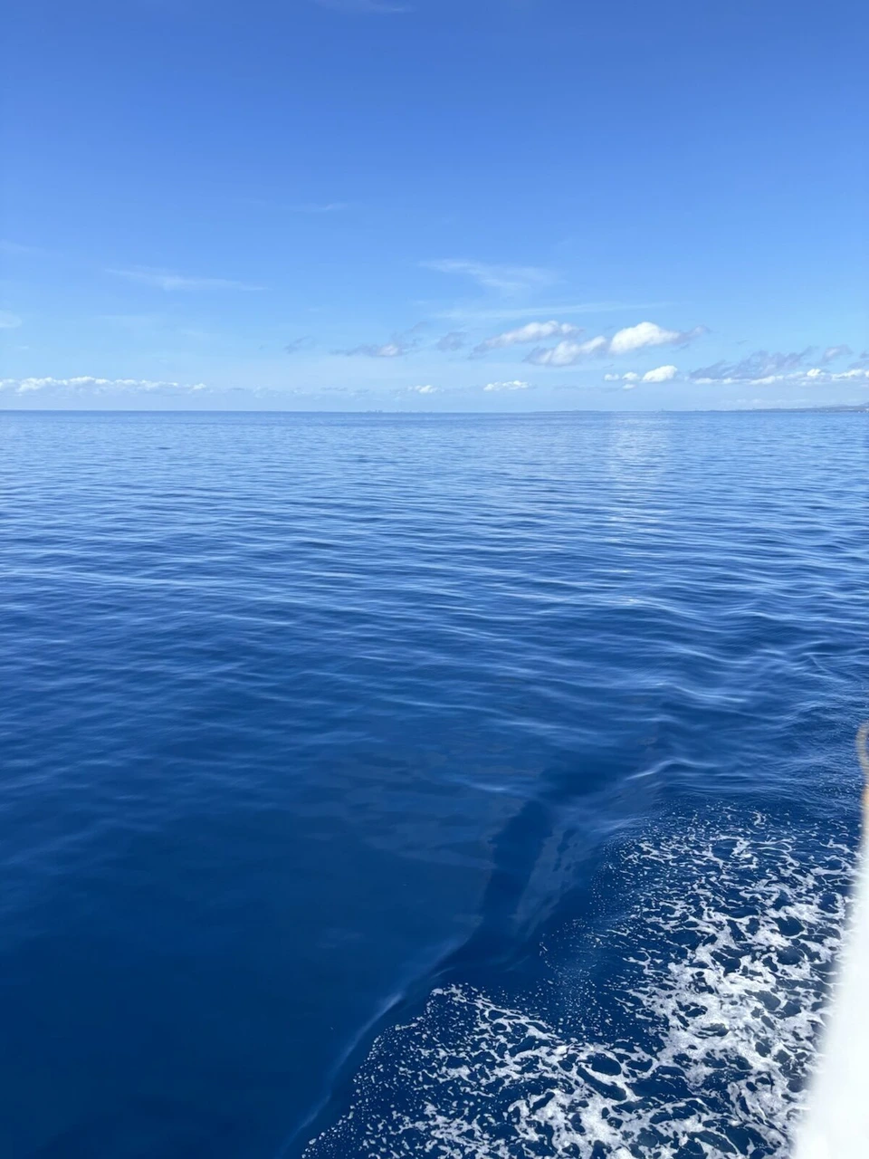 カモテス諸島へ向かうフェリーの船尾から見た青い海と白い航跡