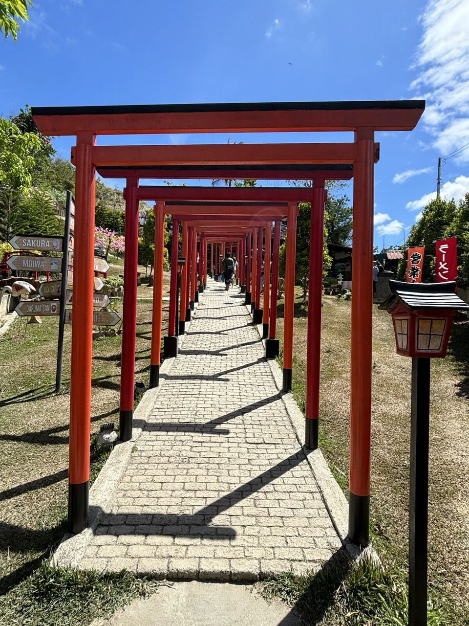 晴れた空の下の赤い鳥居の列と灯籠