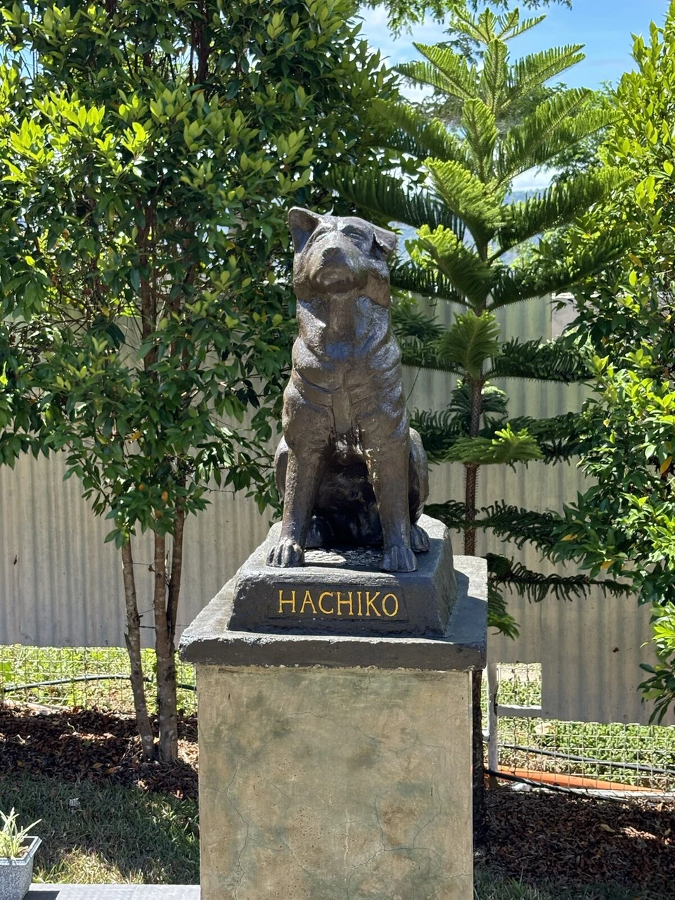 HACHIKOと書かれた台座の上のハチ公の像