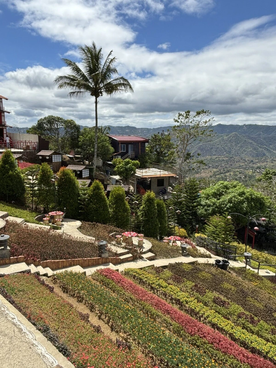 斜面に植えられた赤と緑の花の列と、和風の小屋