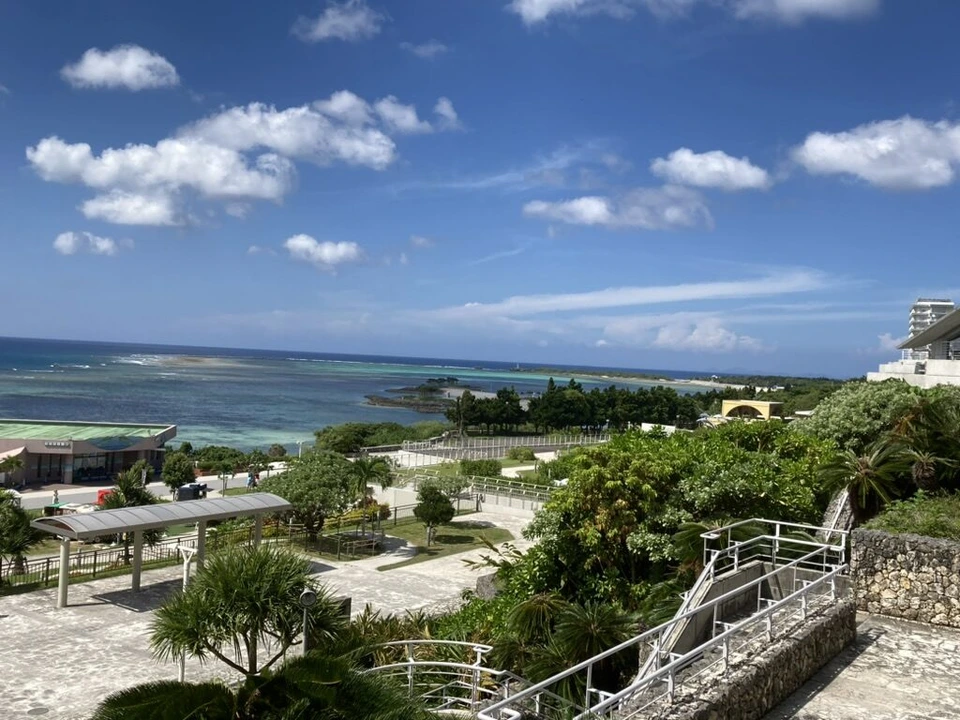 ヤシの木と階段の先に広がる海と白い雲