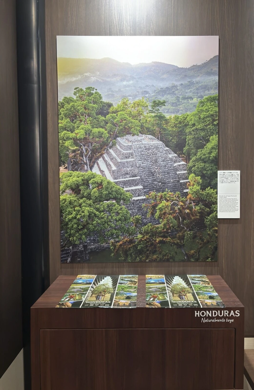 森の中のピラミッド型の遺跡の写真パネルと、HONDURASのパンフレット