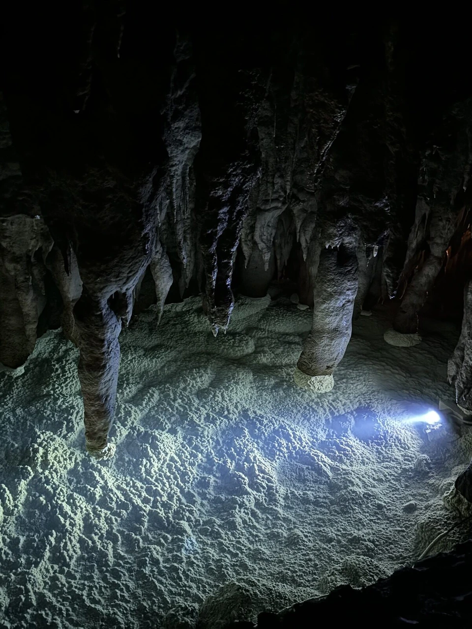白い床から石筍が何本も立つ空間を、懐中電灯のような光が照らす様子