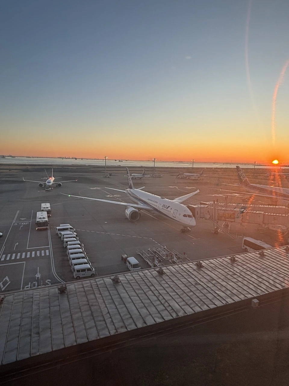 朝焼けの羽田空港の駐機場