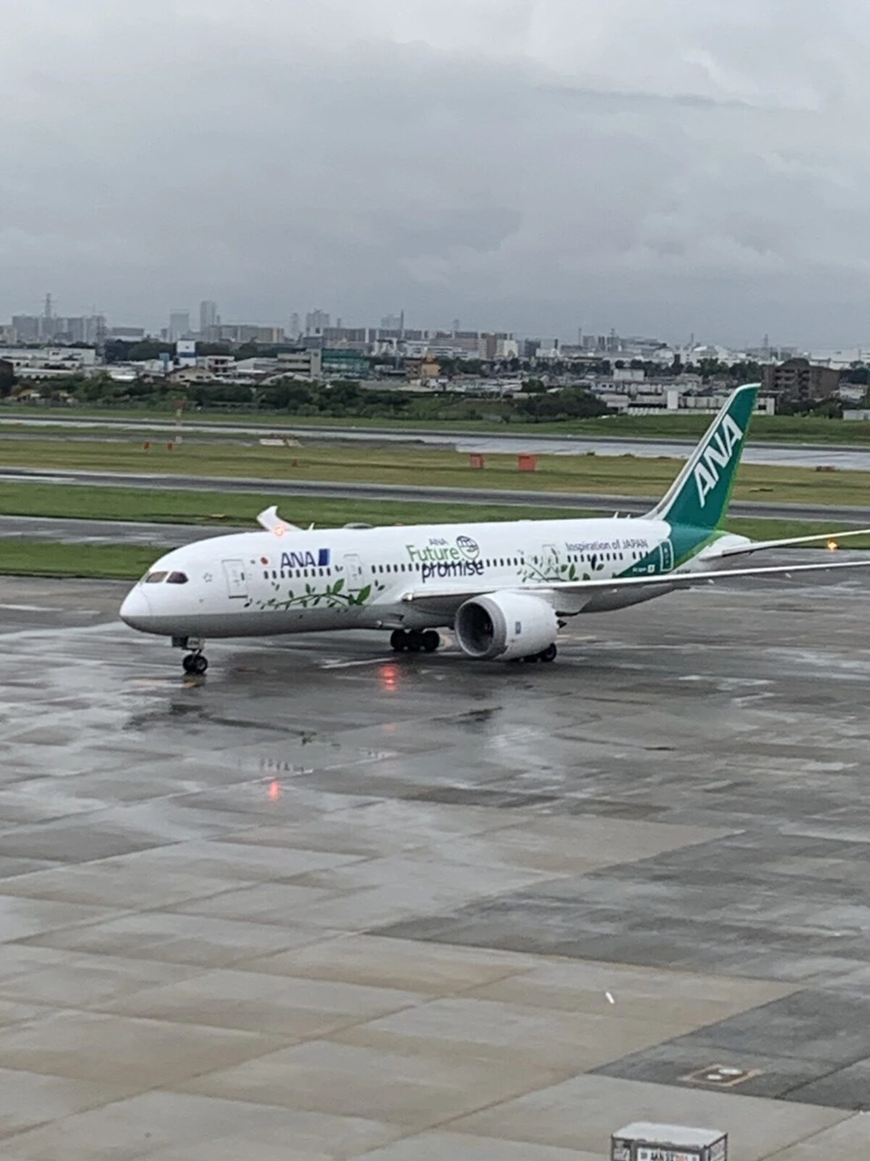 雨でぬれた伊丹空港の駐機場を走る、緑の尾翼のANAのボーイング787。胴体に「Future promise」の文字と葉の模様