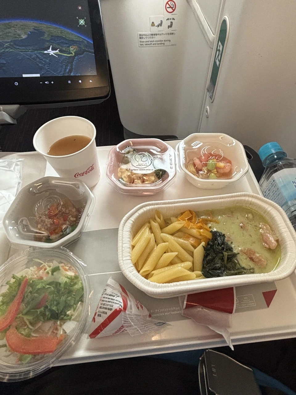 JL723エコノミーの機内食。緑色のソースのペンネ、サラダ、小鉢2つ